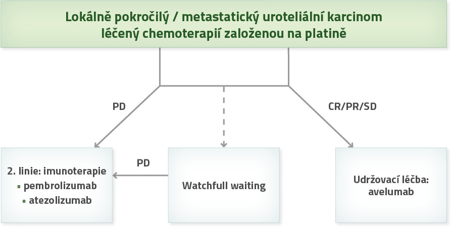 Indikace UC obrázek - léčebné schéma