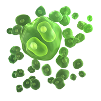 ikona Hodgkinův lymfom