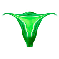 ikona endometrium