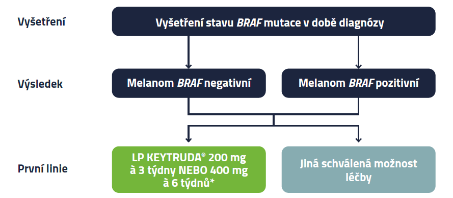 Terapeutická cesta u pacientů s nereskovatelným nebo metastatickým melanomem Nahoře: Vyšetření Stavu BRAF mutace v době diagnózy To se dělí do dvou větví Levá větev: Výsledek je melanom BRAF negativní Pravá větev: Výsledek je melanom BRAF pozitivní Větve se scházejí a do následného kroku a u léčby se dělí do dvou možností. Vlevo: Léčba v první linii LP KEYTRUDA 200 mg à 3 týdny nebo 400 mg à 6 týdnů Vpravo: Jiná schválená možnost léčby