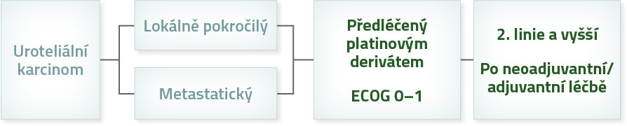 Diagram pro vhodného pacienta