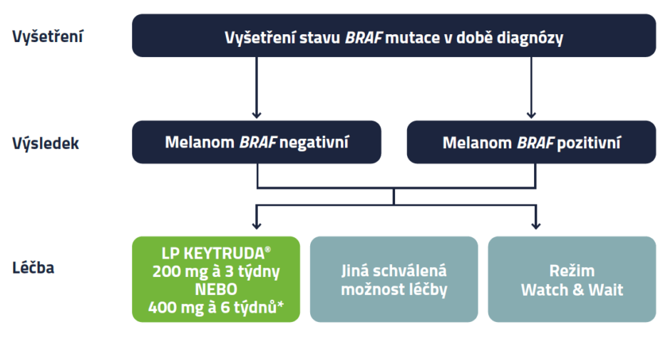 Terapeutická cesta u pacientů s melanomem ve stadiu III, kteří podstoupili kompletní resekci Nahoře: Vyšetření Stavu BRAF mutace v době diagnózy To se dělí do dvou větví Levá větev: Výsledek je melanom BRAF negativní Pravá větev: Výsledek je BRAF pozitivní Větve se scházejí a do následného kroku u léčby se dělí do tří možností. Vlevo: Léčba LP KEYTRUDA 200 mg à 3 týdny nebo 400 mg à 6 týdnů Uprostřed: Jiná schválená možnost léčby Vpravo: Režim Watch & Wait