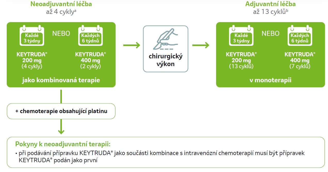 obrázek Dávkování KN671: Pacienti mají být léčeni přípravkem KEYTRUDA® v neoadjuvantním režimu v kombinaci s chemoterapií, následně přípravkem KEYTRUDA® v adjuvantním režimu v monoterapii. Jak v neoadjuvantním, tak v adjuvantním režimu lze u přípravku KEYTRUDA® zvolit z dvou možností dávkovacího režimu.