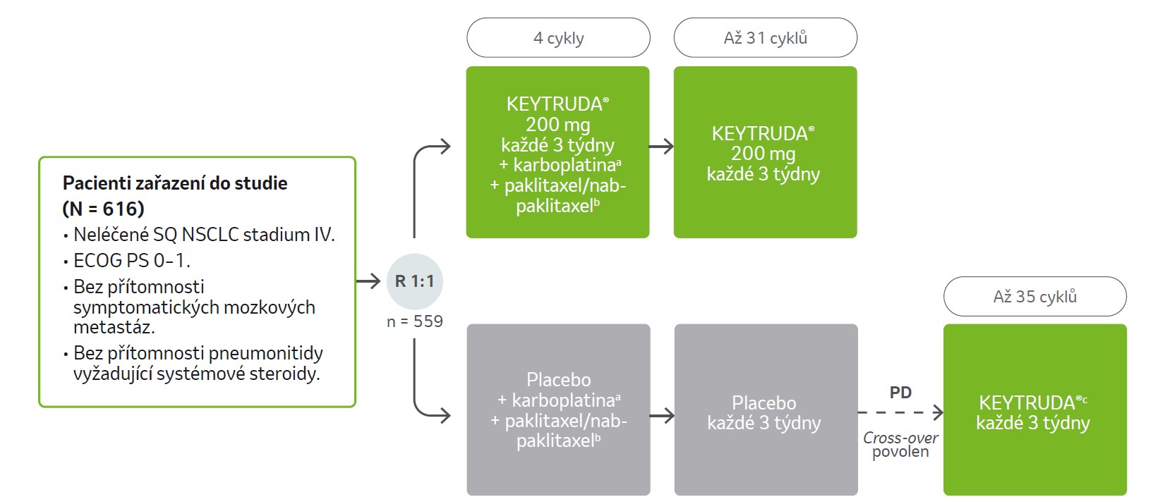 Design klinické studie KN-407: Popisuje pacienty zařazené do studie a počet cyklů.