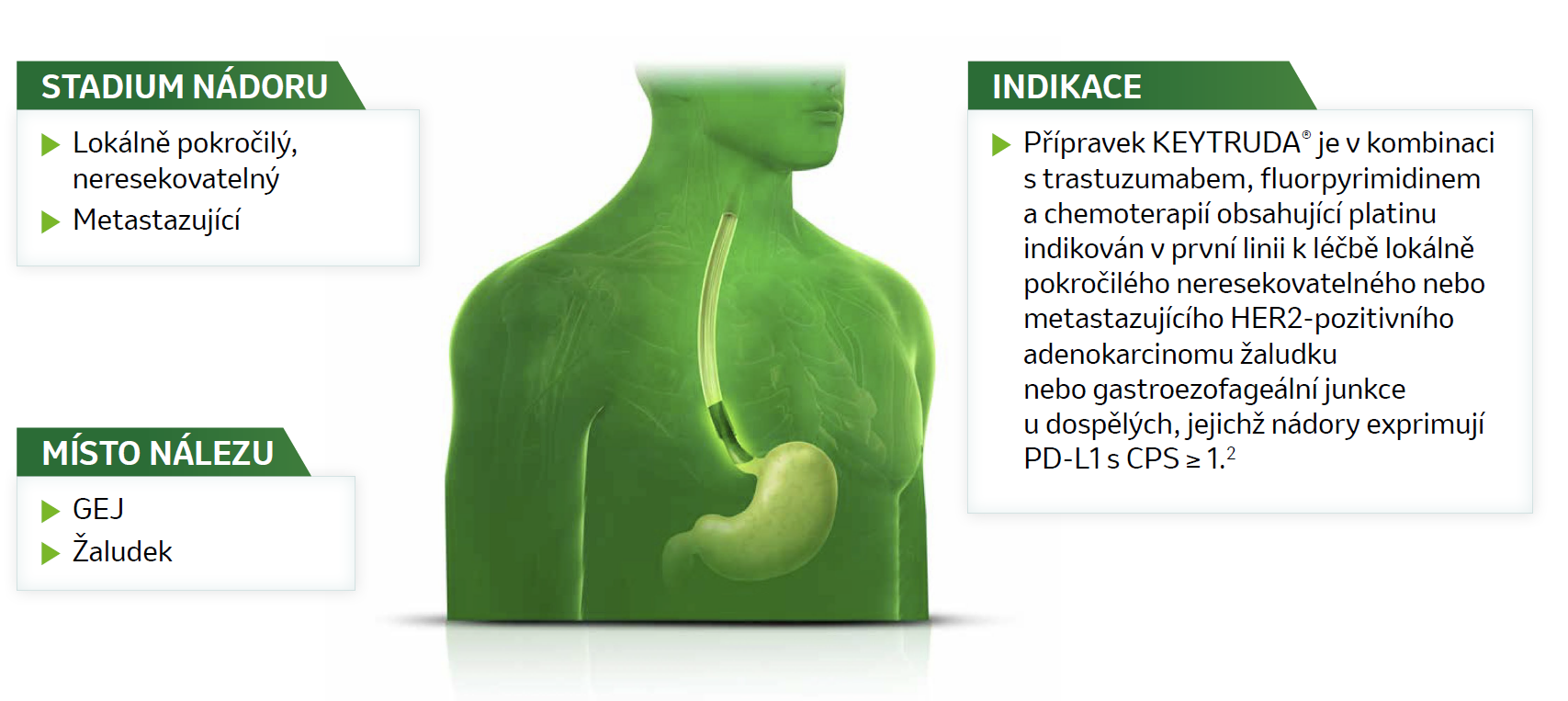 Obrázek: stadium nádoru - lokálně pokročilý, neresekovatelný, metastazující; místo nálezu - GEJ, žaludek; Indikace