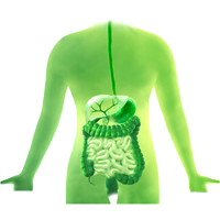 Gastrointestinální karcinomy ikona