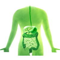 Gastrointestinální karcinomy ikona