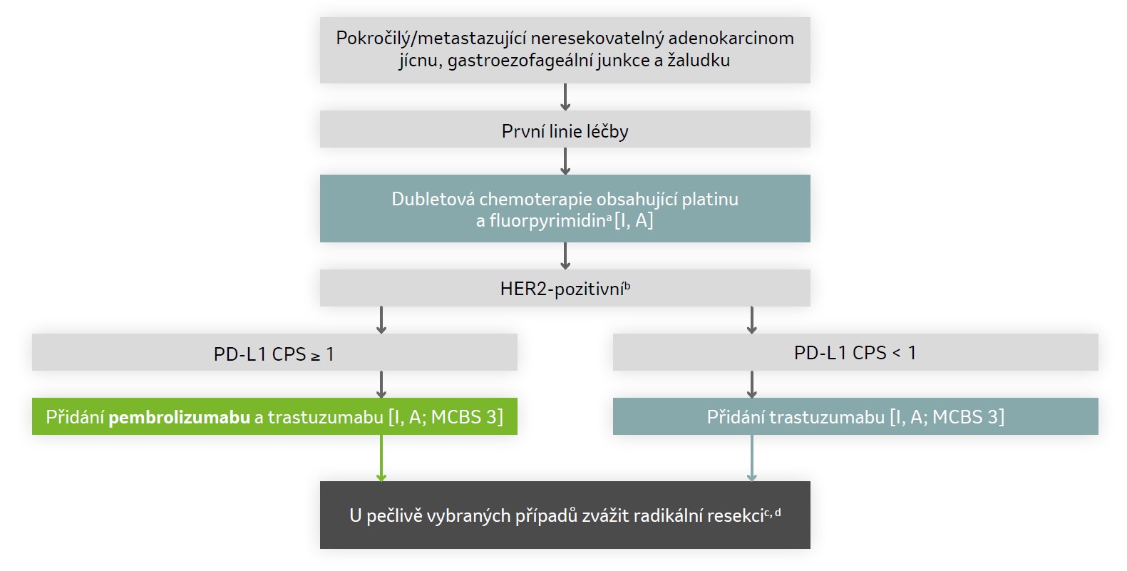 Doporučení ESMO pro karcinom žaludku – metastatické onemocnění, HER2+