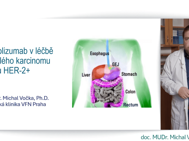 úvodní obrázek doc. Vocka